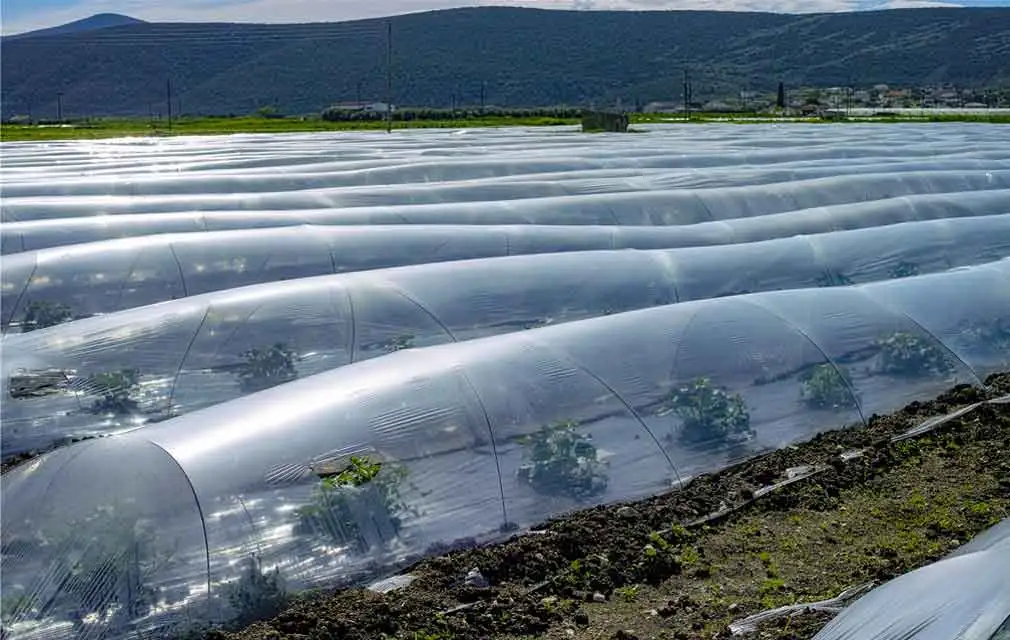 Ứng dụng ổn định polymer trong nông nghiệp