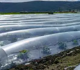 Ứng dụng ổn định polymer trong nông nghiệp