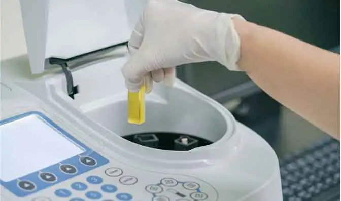 Khả năng nghiên cứu và phát triển