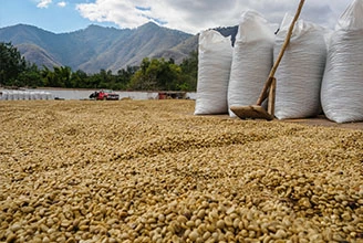 Quy trình sản xuất chất chống oxy hóa Polymer