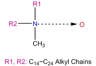 Amin, BIS (Hydrogenated rape oilalkyl)methyl, n-oxit