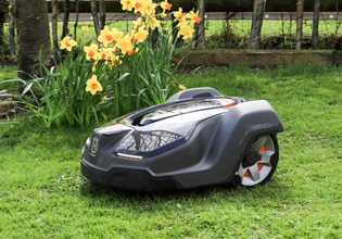 Chất chống oxy hóa phosphite