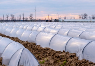 Máy dập nguội Niken