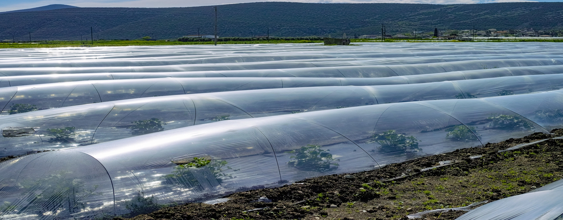 Máy dập nguội Niken